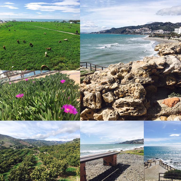 Appartamento Axarquia Nerja